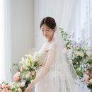 슬림드레스 입고 대전 에스가든 예식 후기 (feat, 에스메랄다, 플랜무드니)
