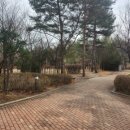 은평 진관고등학교 앞 이미지