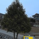 영월힐링하우스 이미지