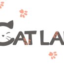 포스메이소프트 이미지