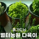 생기농원 이미지