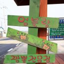 엄블랑 이미지