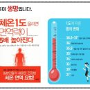 체온UP다이어트 이미지