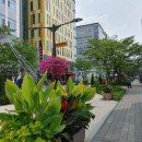 시청 의회 화장실 이미지