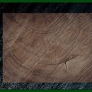 구드래관광지 이미지