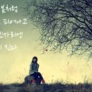 목련나무집 이미지