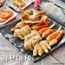 영덕사랑동물병원 | 영덕 대게 맛집 착한대게 강구항 대게거리 코스요리 후기