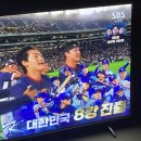 2026년 WBC (World Baseball Classic) 8강 진출 이미지