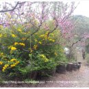 충청농장 이미지