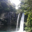 ㈜나라렌트카 이미지