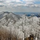 제105차 정기산행 ~ 칠갑산(충남/청양군) 이미지