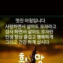 법정스님의 희망편지 이미지