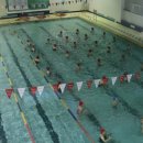 한숲스포츠수영센터 이미지