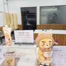 복호두익산 이미지