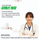 유어캣 고양이병원 이미지