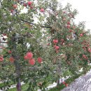 뉴한길공인중개사사무소 이미지