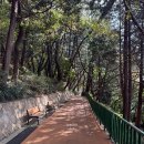 혜광고등학교 | 부산 중앙공원 민주공원 가을 산책