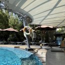 더코지(The Cozy) | 푸켓 알마르리조트 수영장 바 &amp; 코지 스파 (마사지) 후기