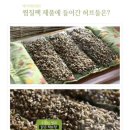 아이러브허브 | 아이러브허브 방한 실내화 '온열 발 찜질팩' 내돈내산 후기