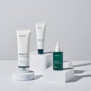 글로벌F&C