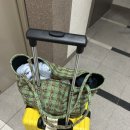 그린핑크 이미지