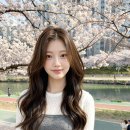 자연사랑hair 네이버블로그