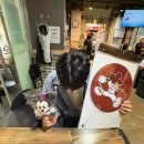 이은채헤어 | Blog is my life .. 🪽