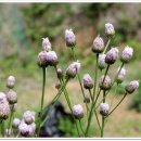 인지농장 이미지