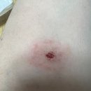 태일약국 이미지