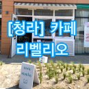 리벨리오