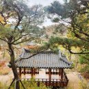 씨유 영흥숲공원 | 11월 도심속 단풍 명소, 영흥숲공원과 영흥수목원 산책 후기