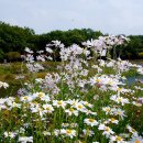 상림화원 이미지