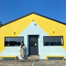 맥심다방 이미지