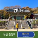 칼럼을 통한 세상 이야기:우리 같이 함께 | 부산 가볼만한곳 단풍 명소 범어사 절 방문 후기!