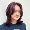 헤어그레이스