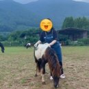 희수목장 네이버블로그