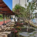 대정중학교 이미지