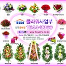 (주)텐정보통신 Daum카페