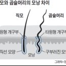 주희미용실 이미지