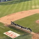 (주)태양파마 | 4월 첫째 주 🌸⚾️