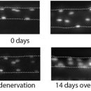 비타민헬스휘트니스 이미지