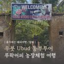 동부농장 | 발리 여행 동부 투어 코스 루왁 커피 농장 체험 Segara Windhu Coffee Plantations 후기