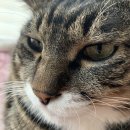 영광센터 16호 | 8월 셋째 주 일상