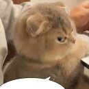 샬롬웨딩헤어샵
