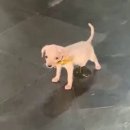 평생학습센터자전거도로화장실 | 비행기를 타고가야 만날텐데 만만치가 않아않아 울먹울먹