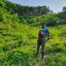 봉삼약초농장 이미지