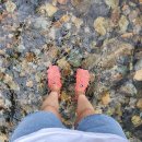 얼음골까투리캠핑장 이미지