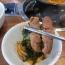 우산칼국수