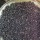 아로니아 효소만드는법 전수 부탁합니다. 이미지