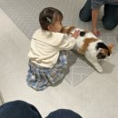 29개월)랑 1박2일 부산여행 [마리앤쥬/위더스오션/솥솥/광안리구경/뽀로로파크/부산타워/부평깡통야시장]